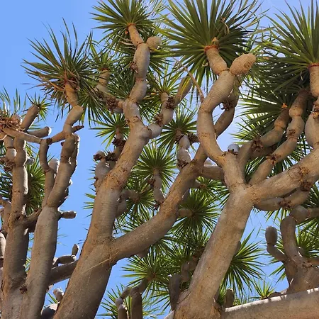 Great Views & Heated Pool - El Perenquen 1 *