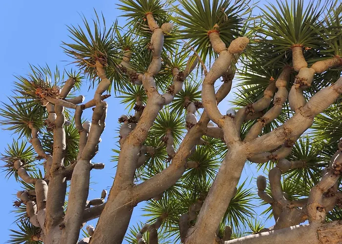 Great Views & Heated Pool - El Perenquen 1 *